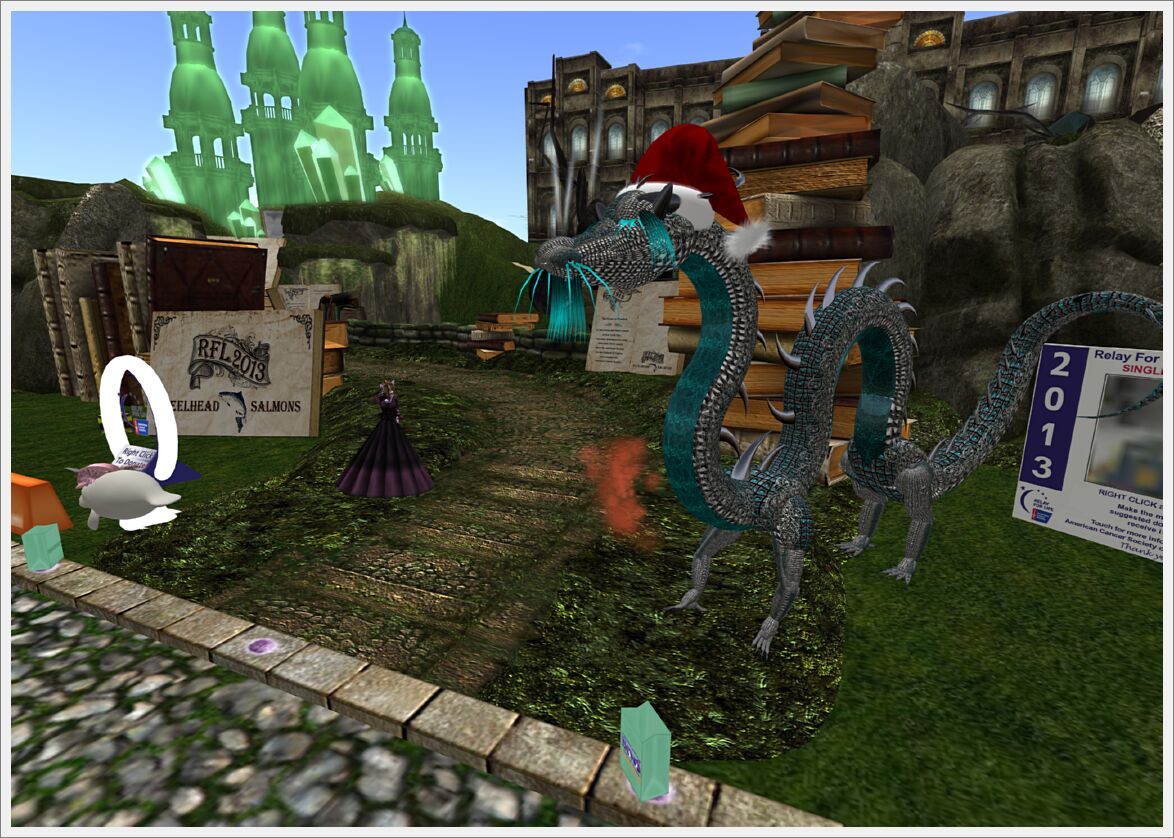 Relay For Life 2013  (37)